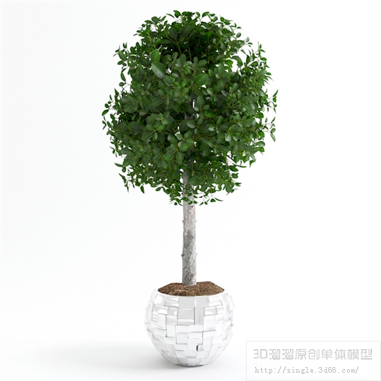 办公酒店植物3Dmax模型 (10)-1