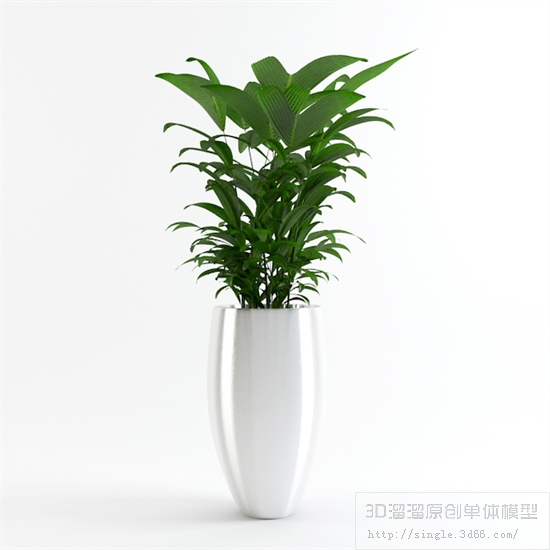 办公酒店植物3Dmax模型 (11).jpg