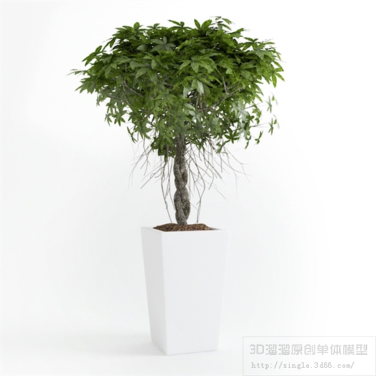 办公酒店植物3Dmax模型 (12)-1