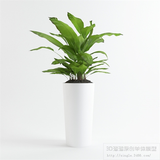 办公酒店植物3Dmax模型 (13)-1