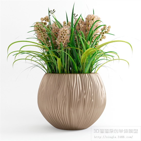 办公酒店植物3Dmax模型 (15).jpg
