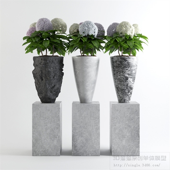 办公酒店植物3Dmax模型 (25).jpg