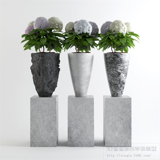 办公酒店植物3Dmax模型 (25)-1