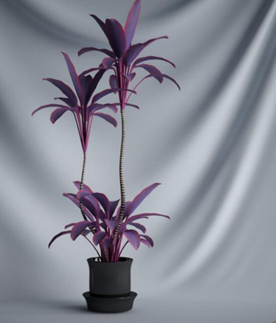 植物 摆件3Dmax模型. (13)-1