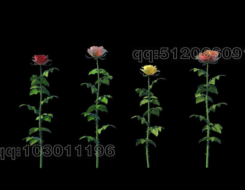 高精度花卉-玫瑰3D模型 (1).jpg