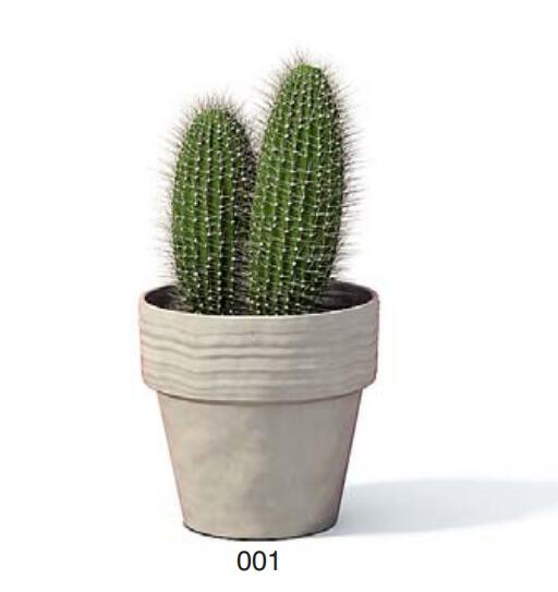 小型装饰植物 3Dmax模型. (1)-1