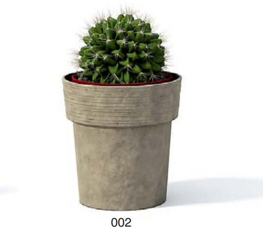 小型装饰植物 3Dmax模型. (2)-1