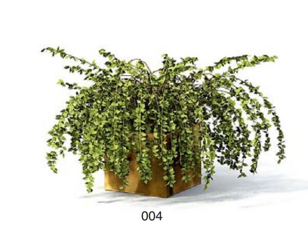 小型装饰植物 3Dmax模型. (4)-1
