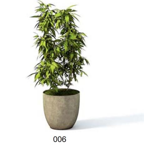 小型装饰植物 3Dmax模型. (6)-1