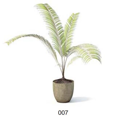 小型装饰植物 3Dmax模型. (7)-1