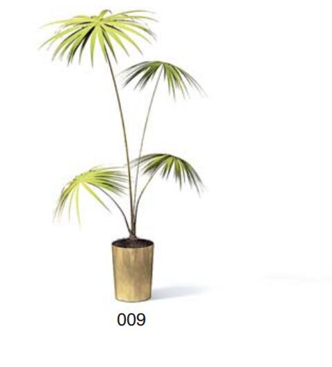 小型装饰植物 3Dmax模型. (9)-1