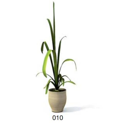 小型装饰植物 3Dmax模型. (10)-1