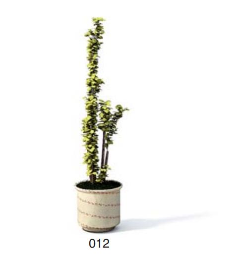 小型装饰植物 3Dmax模型. (12)-1