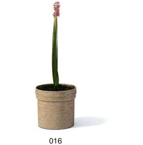 小型装饰植物 3Dmax模型. (16).jpg