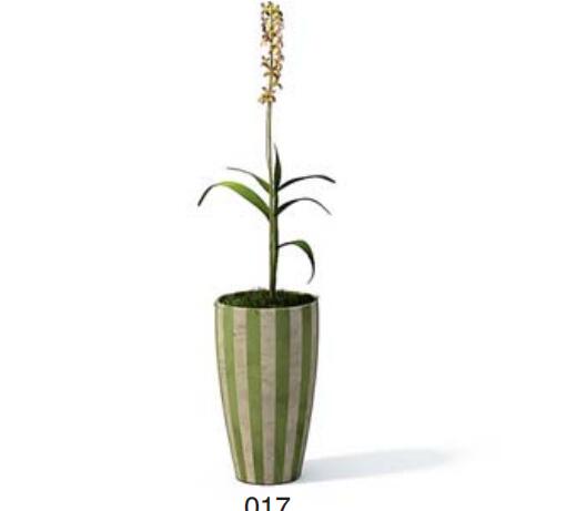 小型装饰植物 3Dmax模型. (17).jpg