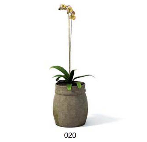 小型装饰植物 3Dmax模型. (20)-1