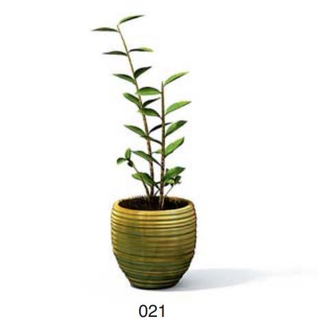 小型装饰植物 3Dmax模型. (21)-1