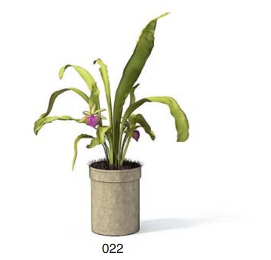 小型装饰植物 3Dmax模型. (22)-1
