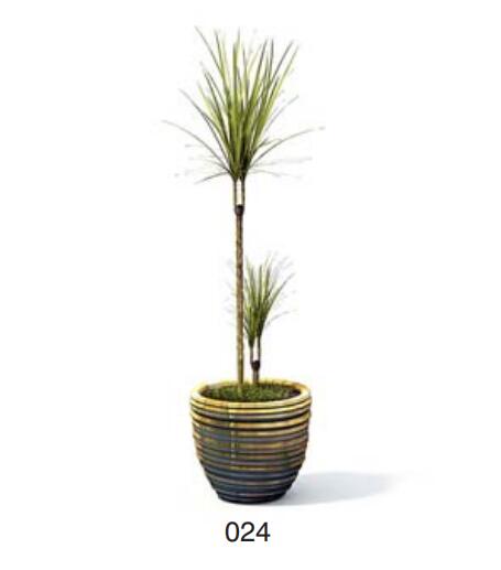 小型装饰植物 3Dmax模型. (24)-1