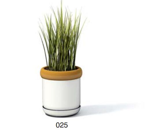 小型装饰植物 3Dmax模型. (25)-1