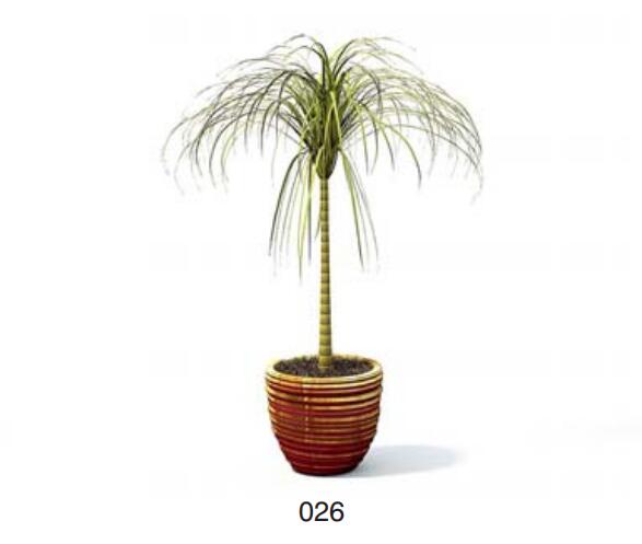 小型装饰植物 3Dmax模型. (26)-1