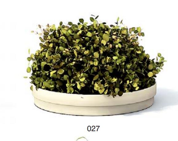 小型装饰植物 3Dmax模型. (27)-1