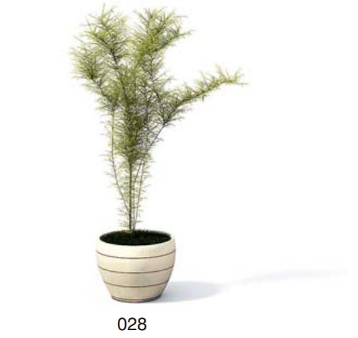 小型装饰植物 3Dmax模型. (28).jpg