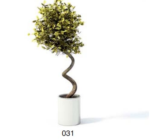 小型装饰植物 3Dmax模型. (31).jpg
