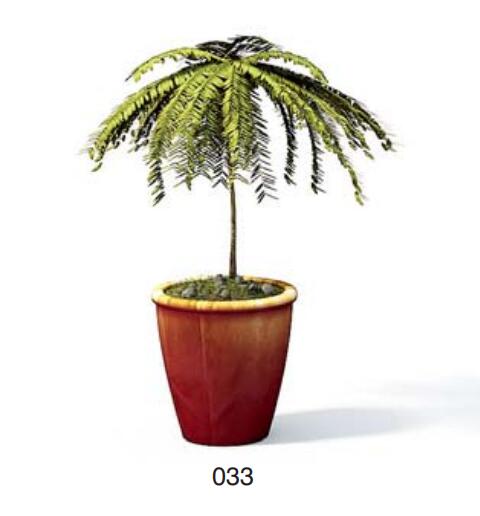 小型装饰植物 3Dmax模型. (33).jpg