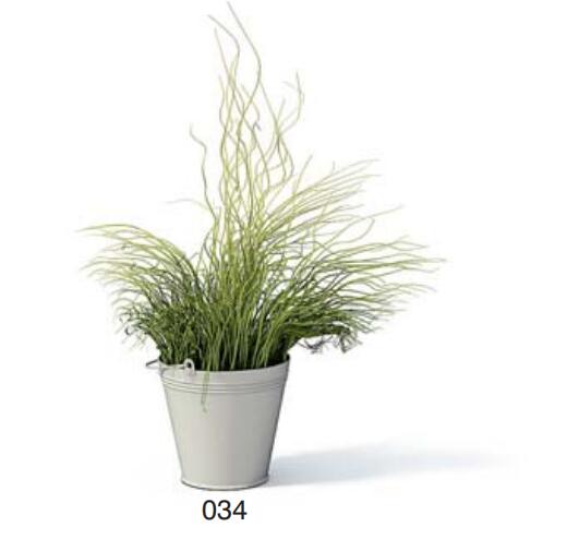 小型装饰植物 3Dmax模型. (34)-1