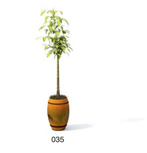 小型装饰植物 3Dmax模型. (35)-1