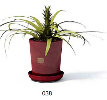 小型装饰植物 3Dmax模型. (38)-1