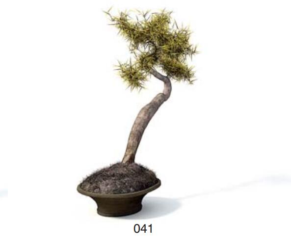 小型装饰植物 3Dmax模型. (41).jpg
