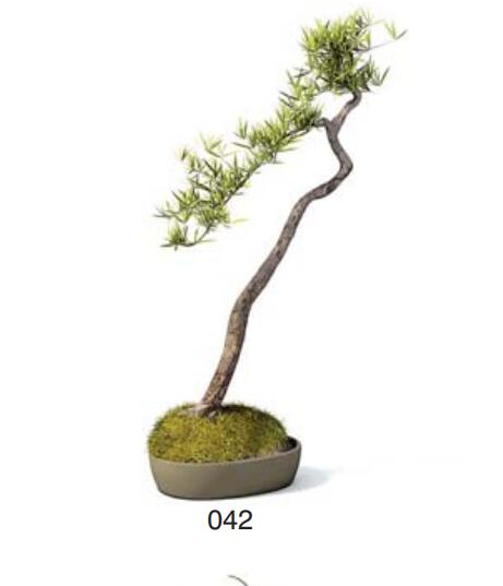 小型装饰植物 3Dmax模型. (42)-1