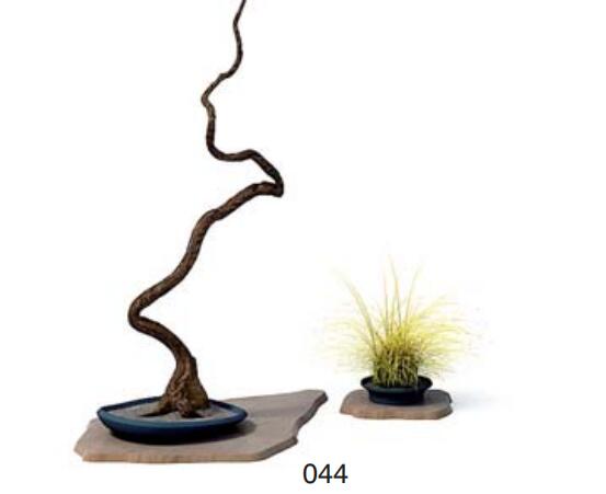 小型装饰植物 3Dmax模型. (44).jpg