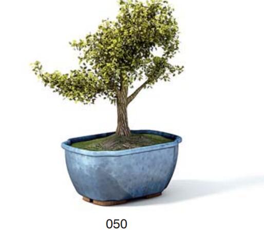 小型装饰植物 3Dmax模型. (50).jpg