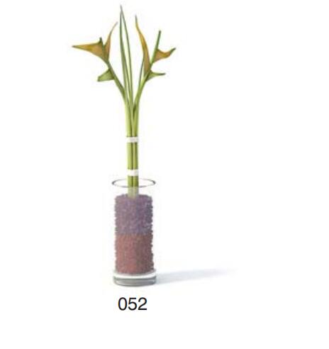 小型装饰植物 3Dmax模型. (52)-1