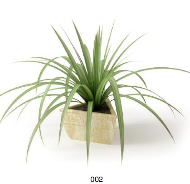 盆栽植物3Dmax模型 (2)-1