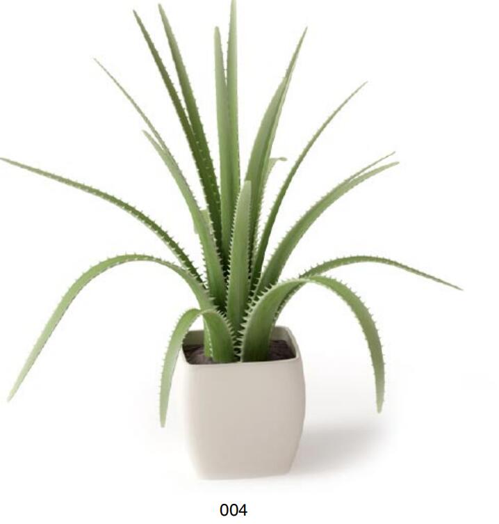 盆栽植物3Dmax模型 (4)-1