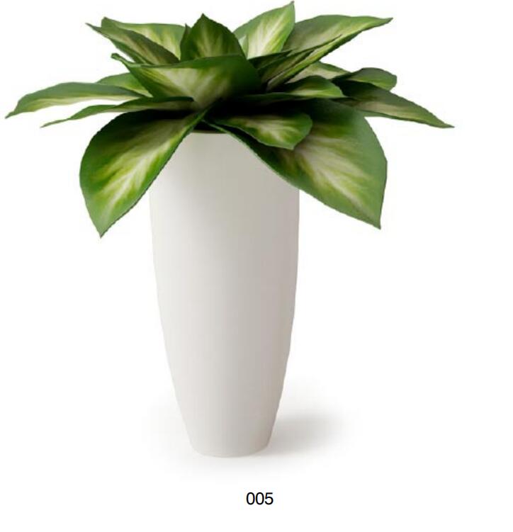 盆栽植物3Dmax模型 (5)-1