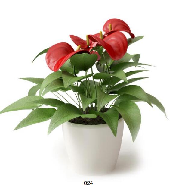 盆栽植物3Dmax模型 (24)-1