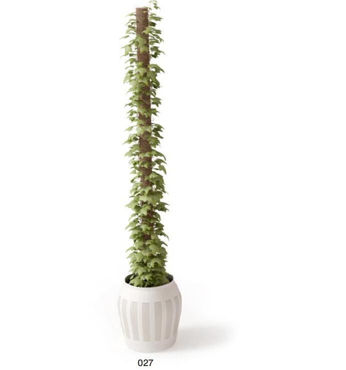盆栽植物3Dmax模型 (27).jpg