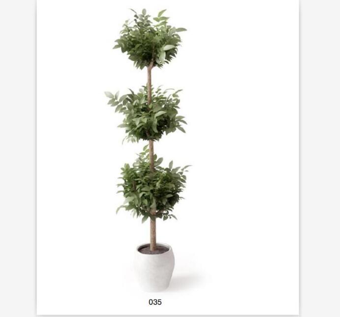 盆栽植物3Dmax模型 (35).jpg