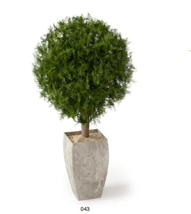 盆栽植物3Dmax模型 (43)-1