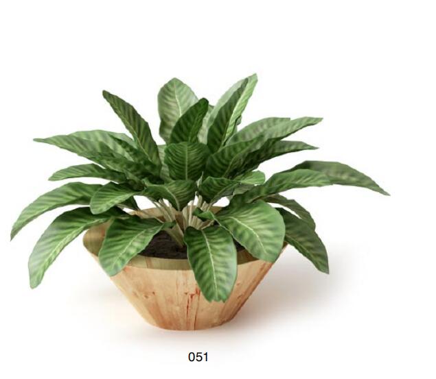 盆栽植物3Dmax模型 (51)-1