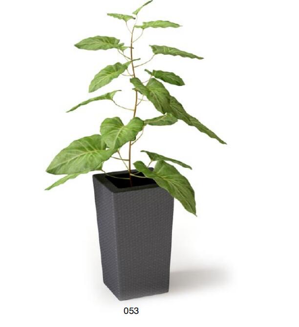 盆栽植物3Dmax模型 (53)-1