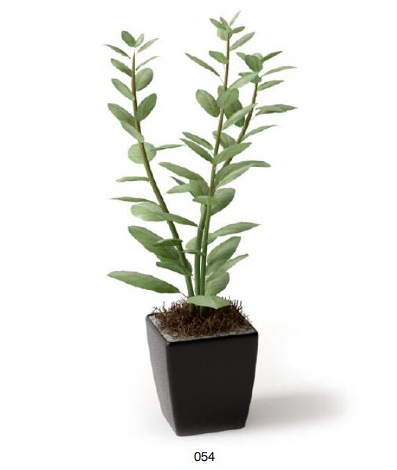 盆栽植物3Dmax模型 (54)-1