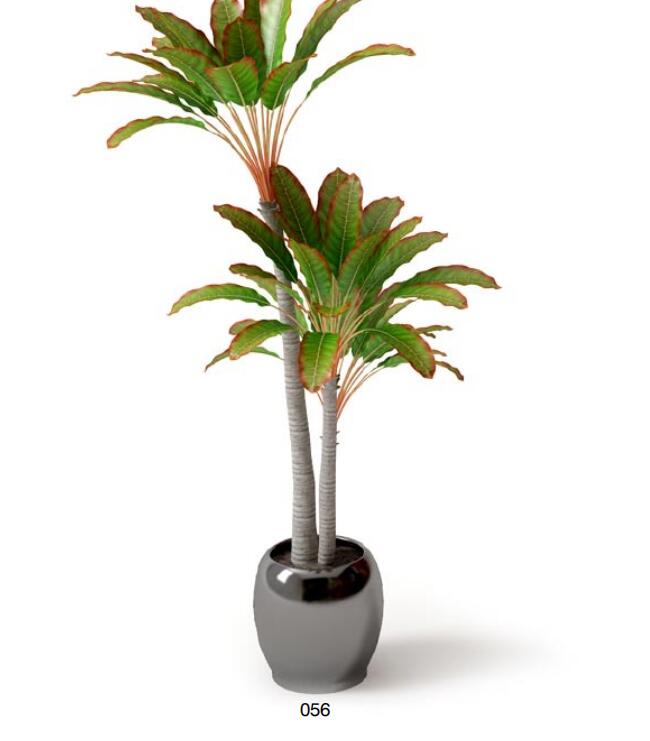 盆栽植物3Dmax模型 (56)-1