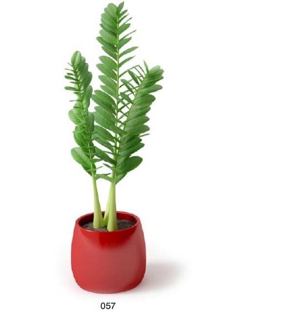 盆栽植物3Dmax模型 (57)-1