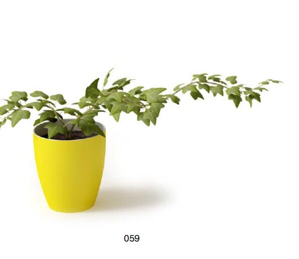 盆栽植物3Dmax模型 (59)-1